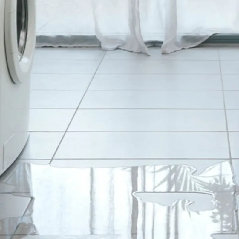 Appliance Leak Cleanup in Randleman, NC