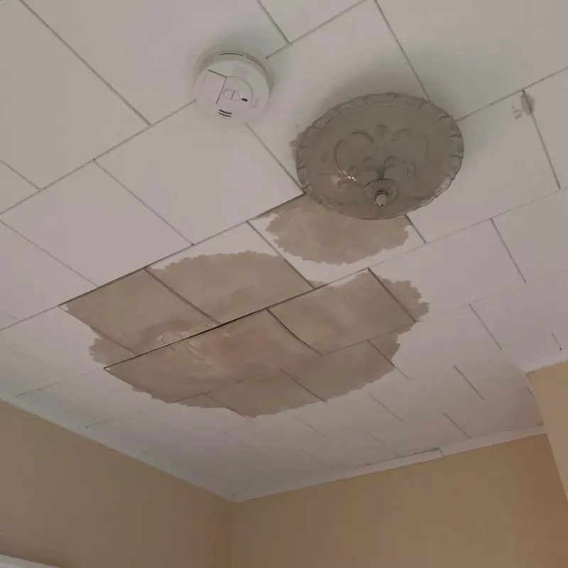 Ceiling Water Damage Repair in Randleman, NC