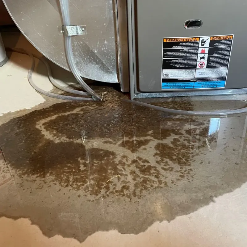 Pipe Burst and Leak Restoration in Randleman, NC