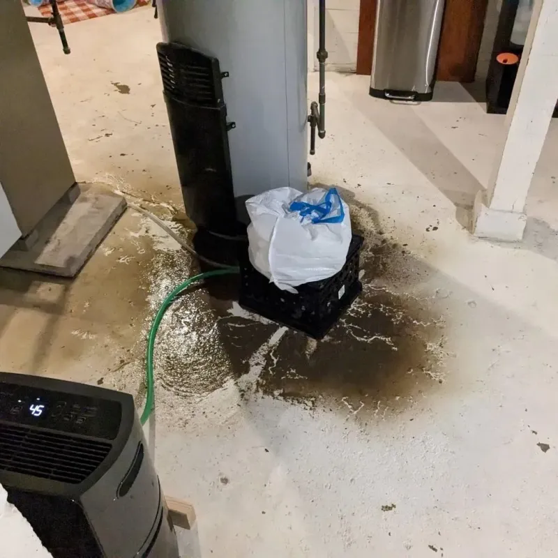 Sewage Backup Cleanup Service in Randleman, NC